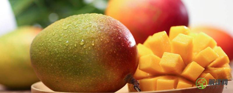 桃和芒果可不可以一起吃？
