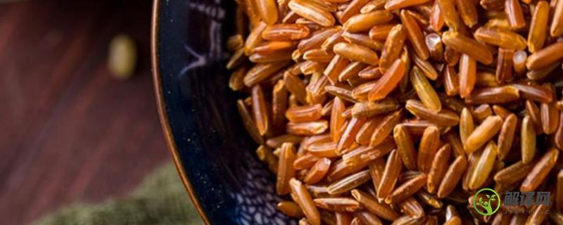 糙米红米黑米能天天吃吗？