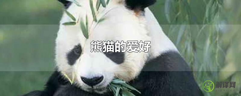 熊猫的爱好？