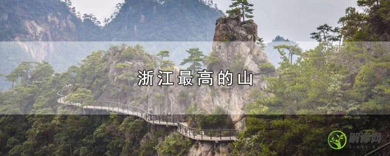 浙江最高的山？