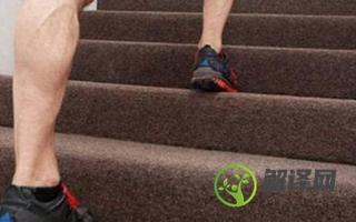 爬楼梯对膝盖的影响,一周爬楼梯几次可以瘦腿？本文共（648字）