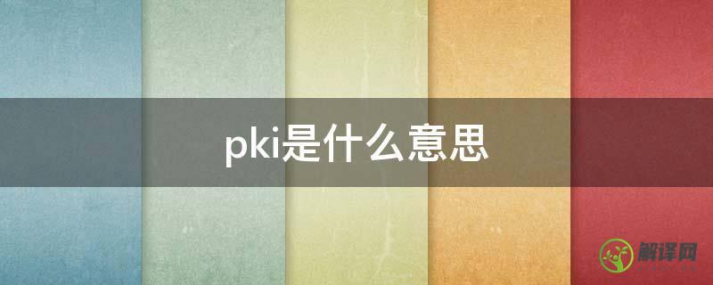 pki是什么意思(pki指的是什么)