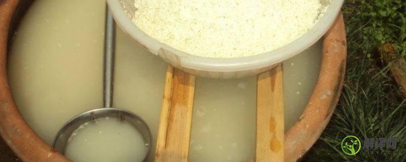 大米酿酒方法和步骤(酿大米酒的方法步骤)