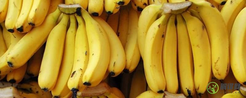 香蕉的种子是什么(香蕉的种子是什么样子的给我发图片)