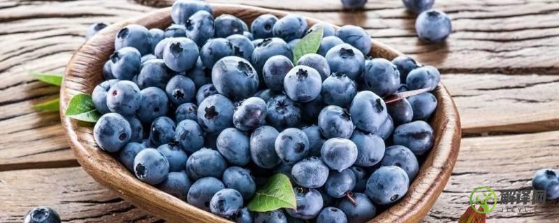 蓝莓的味道(蓝莓的味道像什么水果)