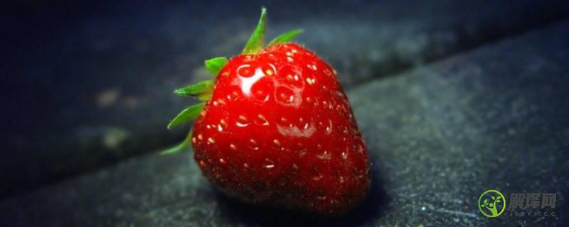 草莓的生长习性(草莓的生长气候)