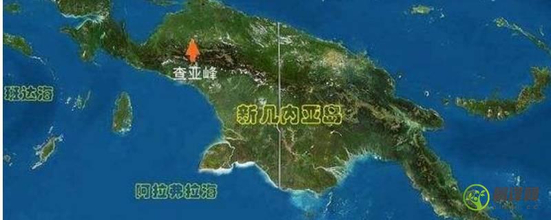 世界第二大岛(新几内亚岛是世界第二大岛)