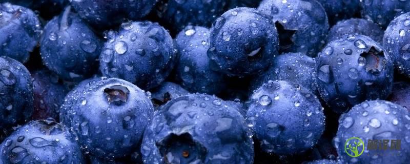 蓝莓要洗吗(买回来的蓝莓要洗吗)