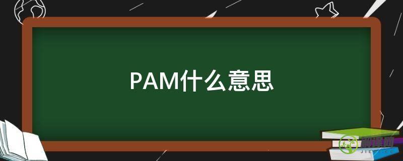 PAM什么意思(pam什么意思英语怎么读)
