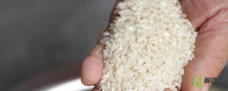 硬米是什么(粳米是什么米图片)