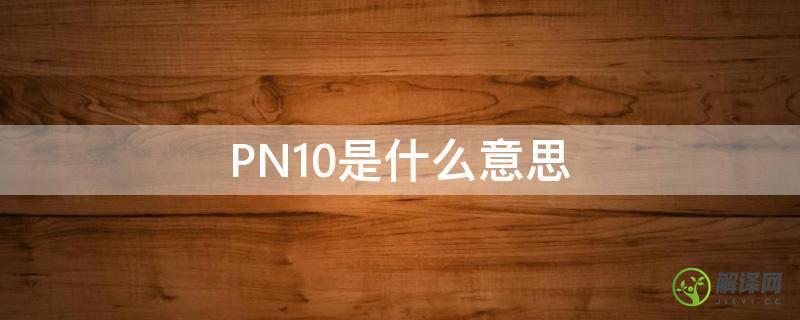 PN10是什么意思(公称压力pn10是什么意思)