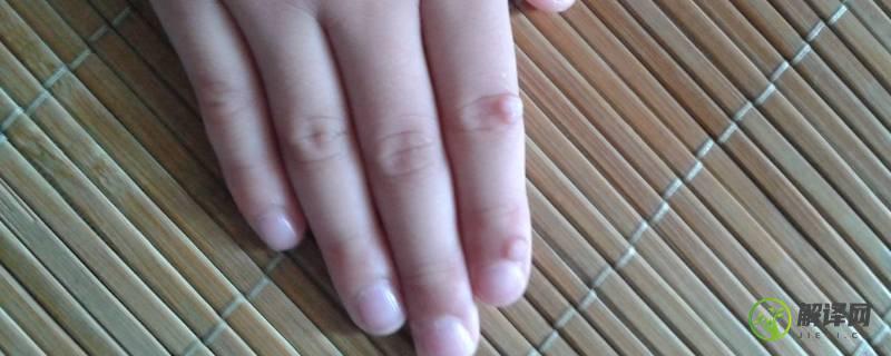 第二个手指叫什么(手的第二个手指叫什么)