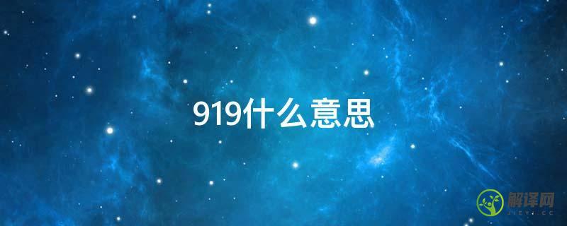 919什么意思(数字1919什么意思)