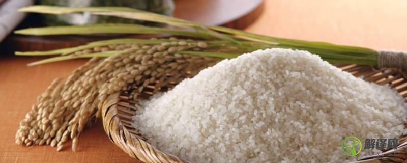 米类都有什么米(常见的米类有哪些)