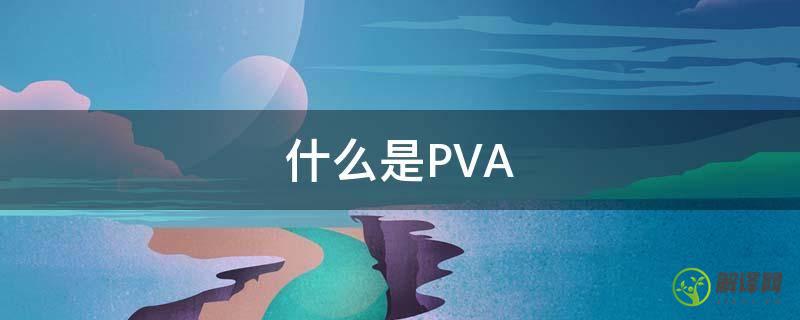 什么是PVA(什么是pva男)