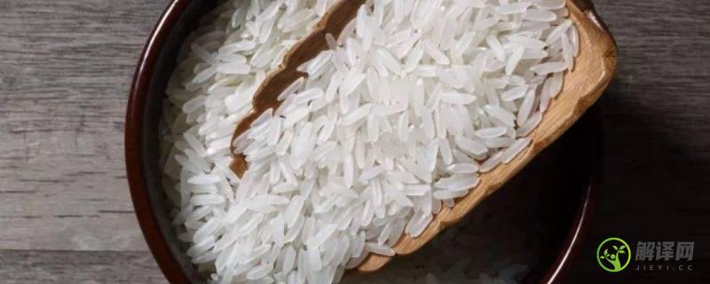 油粘米是什么米(油粘米是什么米种)