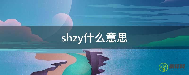 shzy什么意思(shazy)