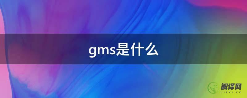 gms是什么(gms是什么软件)