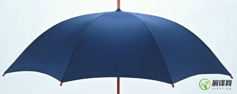 雨伞结构(雨伞结构图解怎么修)