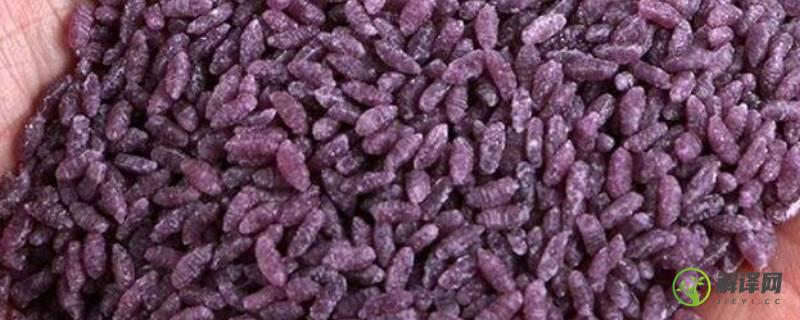 紫薯米是什么米(紫薯米是什么米是转基因的吗)