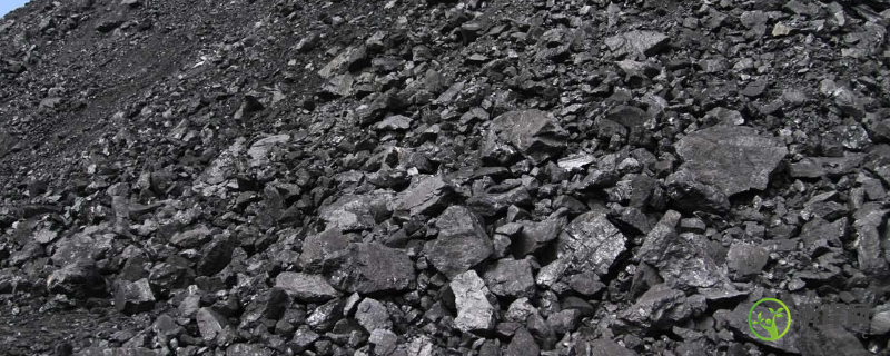 煤炭还是煤碳(煤炭是碳吗)