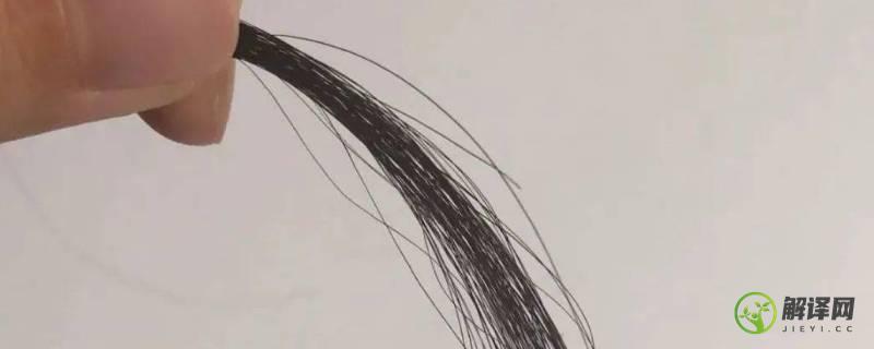 头发丝的直径是多少(头发丝的直径是多少微米)
