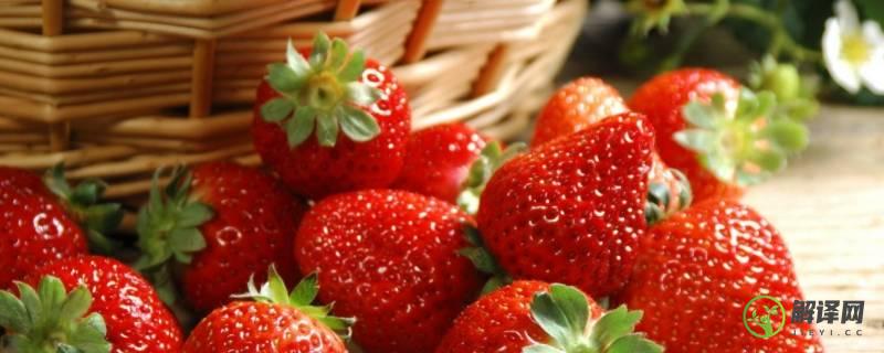 奶莓跟草莓有什么不同(奶香草莓和普通草莓的区别)