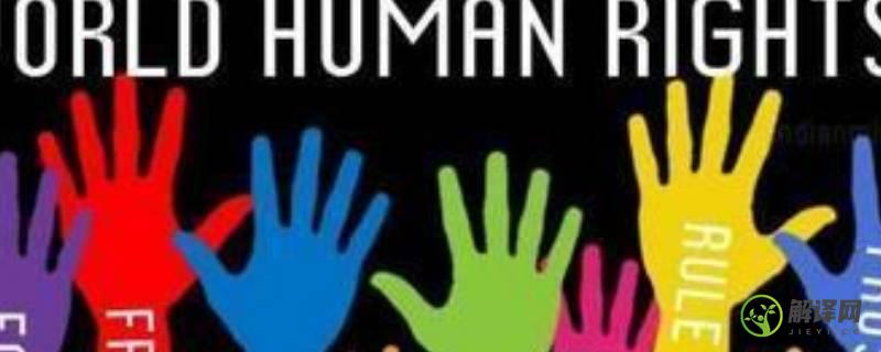 什么是人权(什么是人格?人格有哪些特征?)
