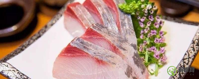 hamachi是什么鱼(日本hamachi是什么鱼)