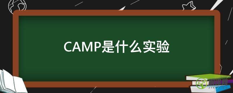 CAMP是什么实验(camp试验中文名字)
