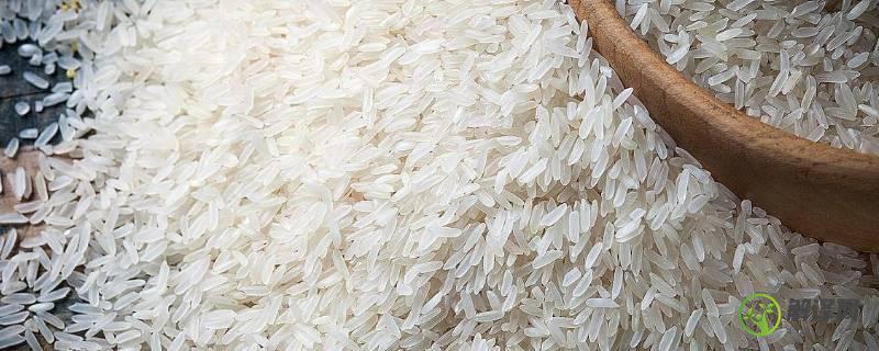 米的种类都有哪些(米的种类有多少种类)