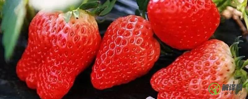 草莓属于低糖水果吗(草莓属于含糖量高的水果吗)