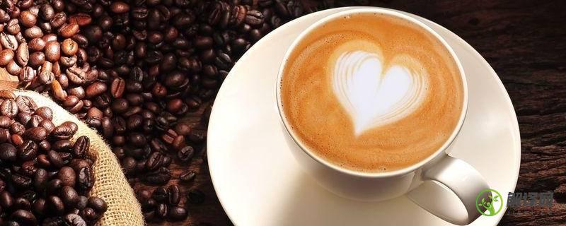 咖啡豆怎么制作成咖啡(新鲜咖啡豆怎么制作成咖啡)