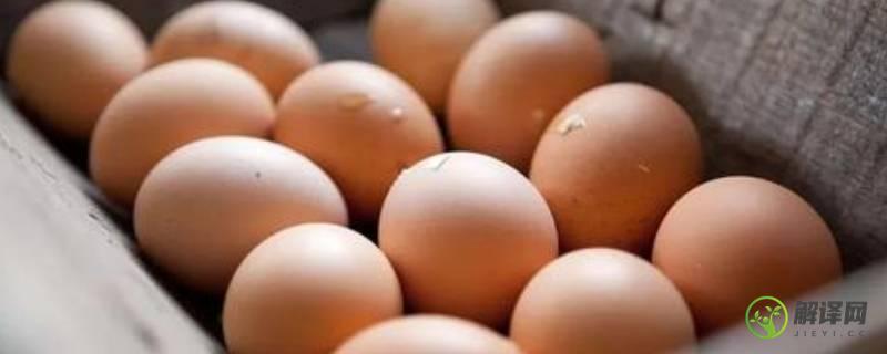 乌鸡蛋和普通鸡蛋的区别(绿皮乌鸡蛋和普通鸡蛋的区别)