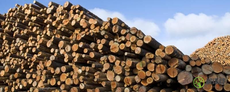 一方木头是多少吨(一方木有多少吨)