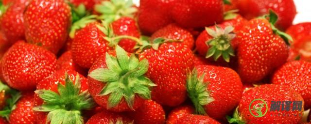 草莓盛产的标准季节是几月份(草莓一般是什么季节)