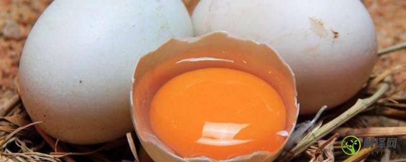 如何区分苏丹红鸡蛋(苏丹红鸡蛋和土鸡蛋的区别)