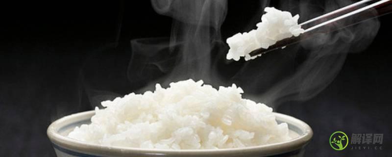 米饭能在冰箱放几天(米饭放冰箱可以几天)