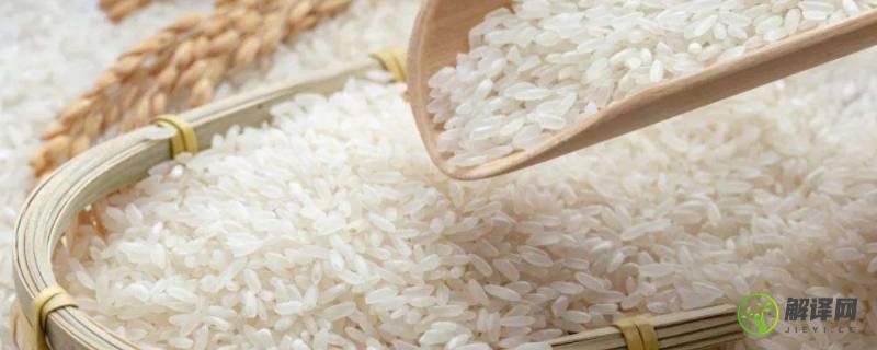 大米的含糖量为多少(大米的糖类含量约占多少)