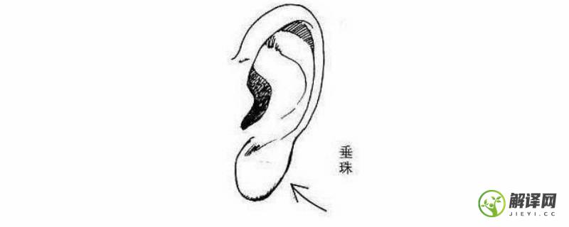 耳珠是哪个部位(耳珠是哪个部位和耳垂)