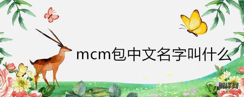 mcm包中文名字叫什么(mcm包也叫)
