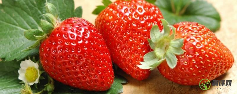 99草莓是什么品种(日本99草莓是什么品种)