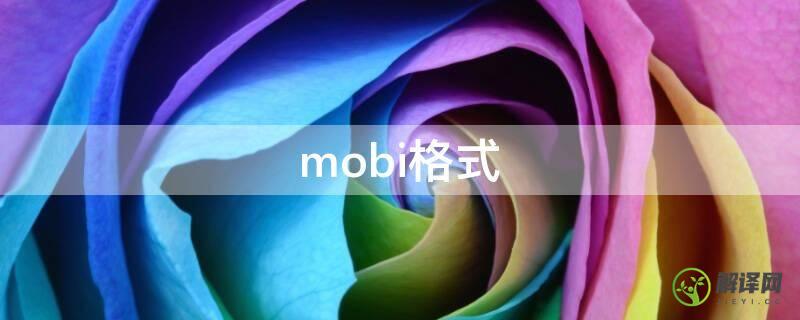 mobi格式(mobi格式转换成txt)