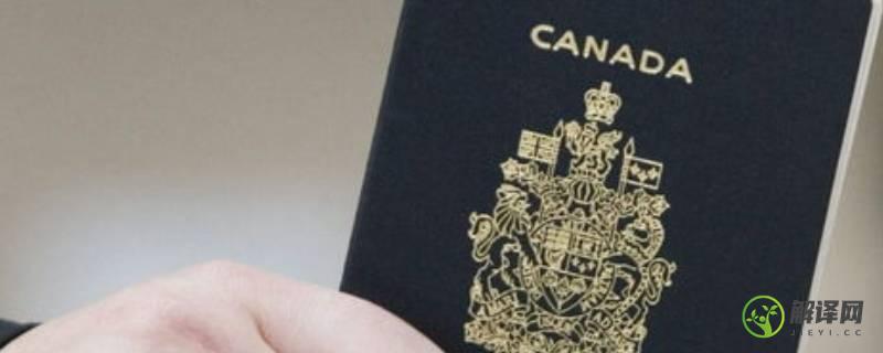 海外护照是什么意思(外籍护照是什么)