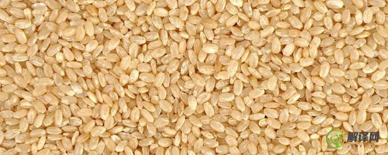 糙米是什么米(糙米是什么米做的)