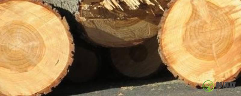 木材密度(木材密度排名)