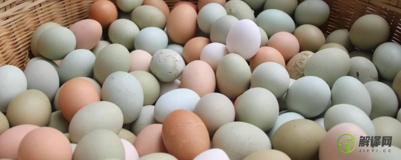 绿鸡蛋和普通鸡蛋的区别(绿鸡蛋好还是白鸡蛋好)