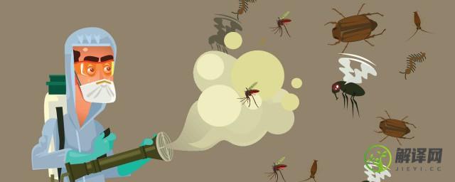 如何消灭蚊子(怎么驱蚊子最有效的方法)