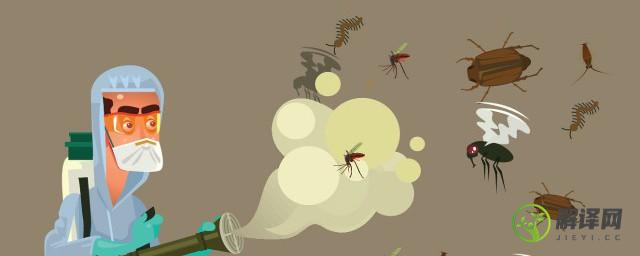 怎么消灭超小的蚊子(很多小蚊子怎么去除)