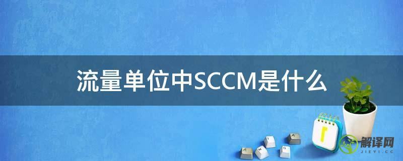 流量单位中SCCM是什么(scfm是什么流量单位)